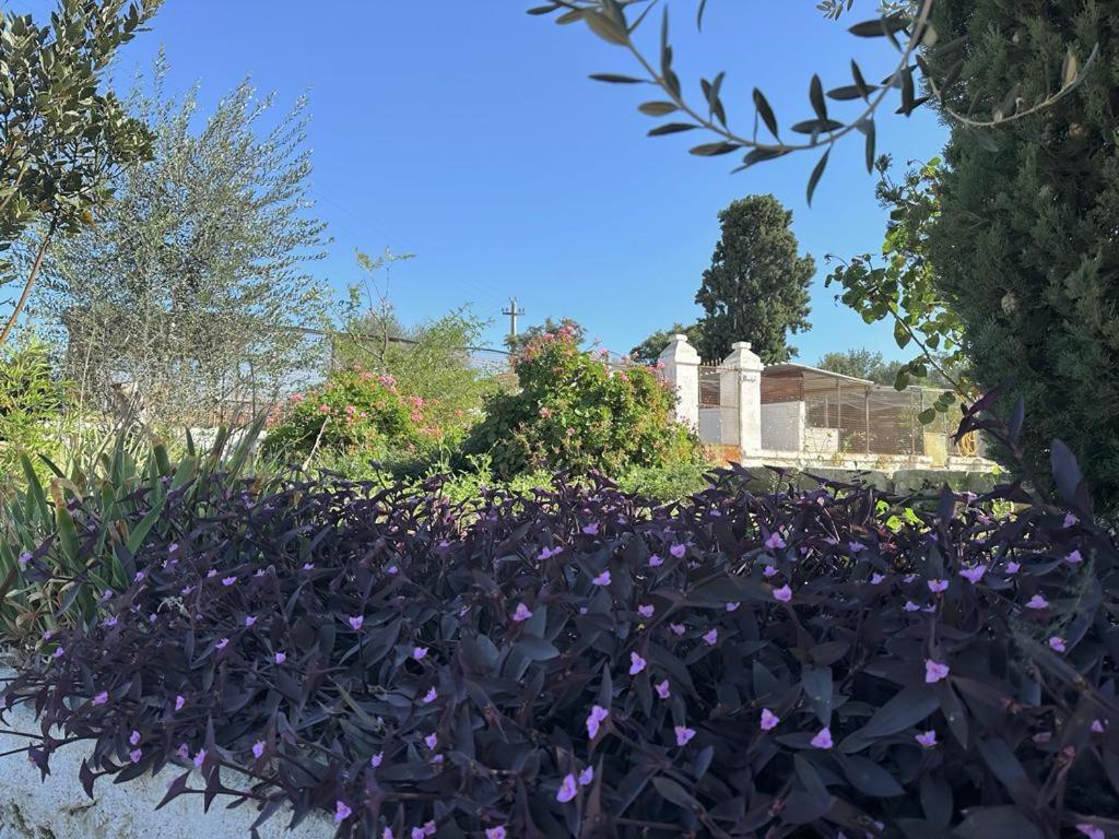 Masseria Strada Agriturismo Джиноза Екстериор снимка