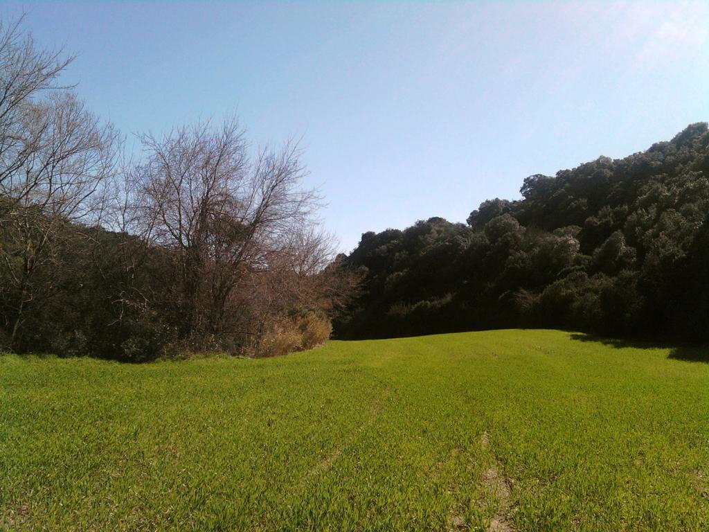 Masseria Strada Agriturismo Джиноза Екстериор снимка